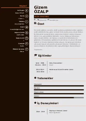 Müzik Öğretmeni Cv Örnekleri cv indir